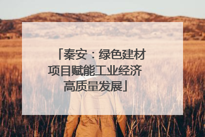 秦安：绿色建材项目赋能工业经济高质量发展