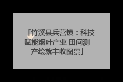 竹溪县兵营镇：科技赋能烟叶产业 田间测产绘就丰收图景