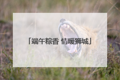 端午粽香 情暖狮城
