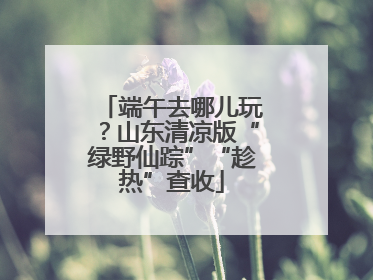 端午去哪儿玩？山东清凉版“绿野仙踪”“趁热”查收