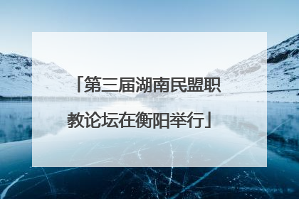 第三届湖南民盟职教论坛在衡阳举行