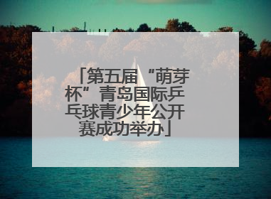第五届“萌芽杯”青岛国际乒乓球青少年公开赛成功举办