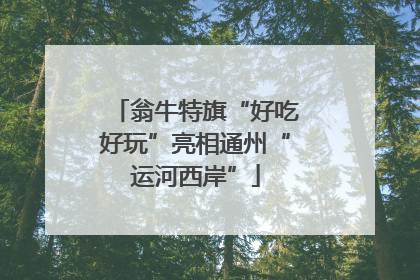 翁牛特旗“好吃好玩”亮相通州“运河西岸”
