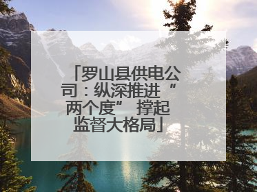 罗山县供电公司：纵深推进“两个度” 撑起监督大格局