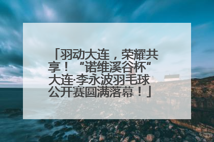 羽动大连，荣耀共享！“诺维溪谷杯”大连·李永波羽毛球公开赛圆满落幕！