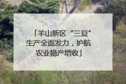 羊山新区“三夏”生产全面发力，护航农业稳产增收