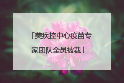 美疾控中心疫苗专家团队全员被裁