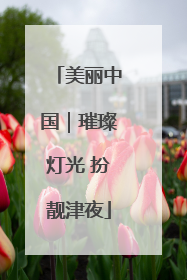 美丽中国｜璀璨灯光 扮靓津夜