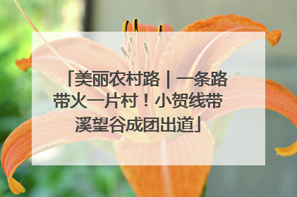美丽农村路｜一条路带火一片村！小贺线带溪望谷成团出道