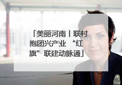 美丽河南丨联村抱团兴产业 “红旗”联建动脉通