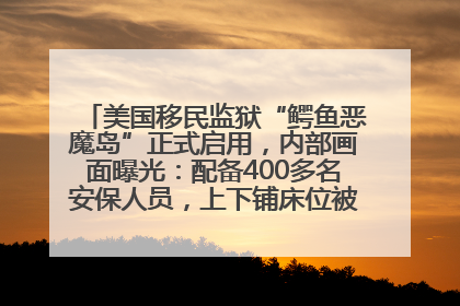 美国移民监狱“鳄鱼恶魔岛”正式启用，内部画面曝光：配备400多名安保人员，上下铺床位被罩在铁丝网里