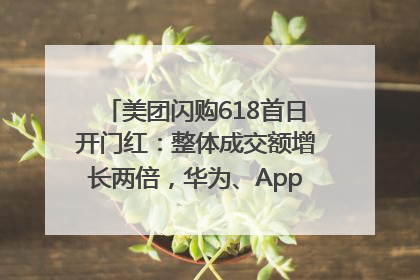 美团闪购618首日开门红：整体成交额增长两倍，华为、Apple、沃尔玛等近800个品牌翻倍增长