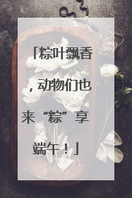 粽叶飘香，动物们也来“粽”享端午！