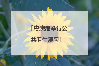 粤澳港举行公共卫生演习