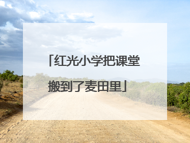 红光小学把课堂搬到了麦田里