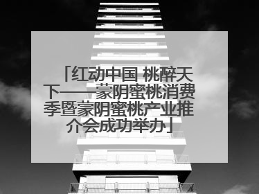 红动中国 桃醉天下——蒙阴蜜桃消费季暨蒙阴蜜桃产业推介会成功举办