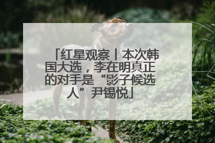 红星观察丨本次韩国大选，李在明真正的对手是“影子候选人”尹锡悦