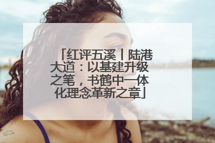 红评五溪丨陆港大道：以基建升级之笔，书鹤中一体化理念革新之章