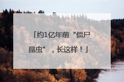 约1亿年前“僵尸昆虫”，长这样！
