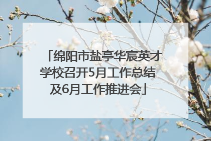 绵阳市盐亭华宸英才学校召开5月工作总结及6月工作推进会