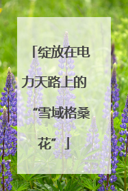 绽放在电力天路上的“雪域格桑花”