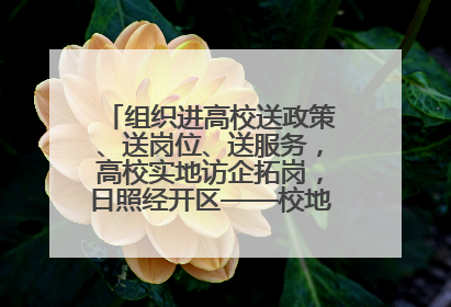 组织进高校送政策、送岗位、送服务，高校实地访企拓岗，日照经开区——校地企联动，激活人才发展“引擎”