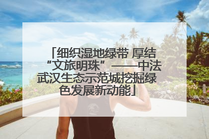 细织湿地绿带 厚结“文旅明珠”——中法武汉生态示范城挖掘绿色发展新动能