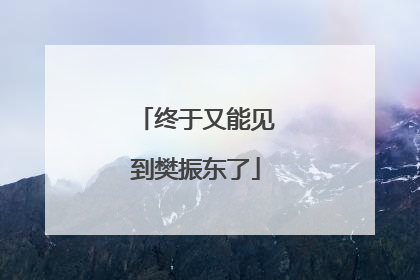 终于又能见到樊振东了