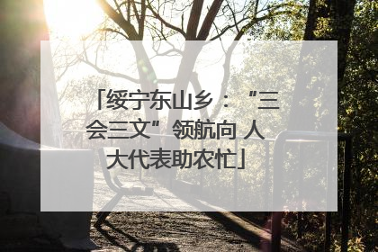 绥宁东山乡：“三会三文”领航向 人大代表助农忙