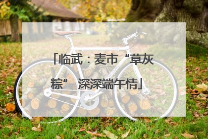 临武：麦市“草灰粽” 深深端午情