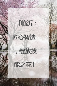 临沂：匠心智造，绽放技能之花