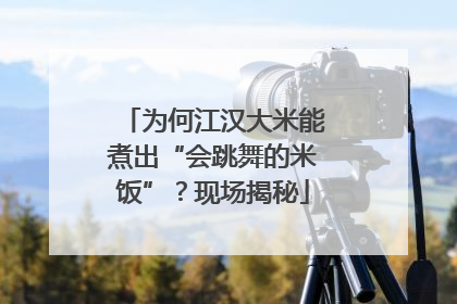 为何江汉大米能煮出“会跳舞的米饭”？现场揭秘