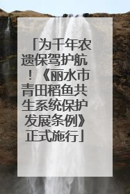 为千年农遗保驾护航！《丽水市青田稻鱼共生系统保护发展条例》正式施行
