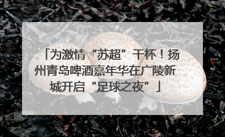 为激情“苏超”干杯！扬州青岛啤酒嘉年华在广陵新城开启“足球之夜”