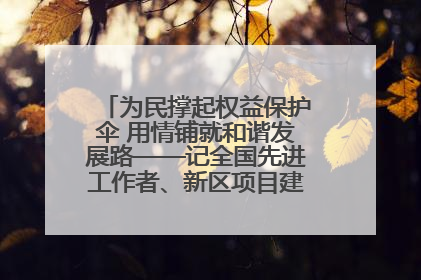 为民撑起权益保护伞 用情铺就和谐发展路——记全国先进工作者、新区项目建设中心干部卢小勇