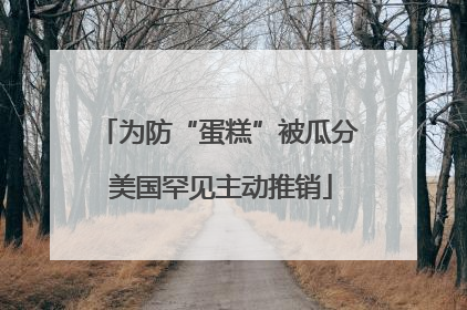 为防“蛋糕”被瓜分 美国罕见主动推销