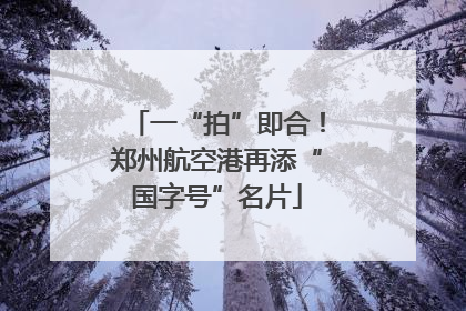 一“拍”即合！郑州航空港再添“国字号”名片
