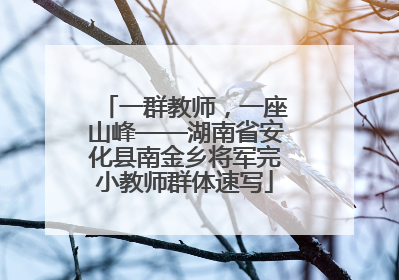 一群教师，一座山峰——湖南省安化县南金乡将军完小教师群体速写