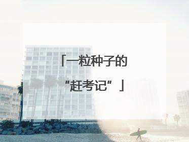 一粒种子的“赶考记”