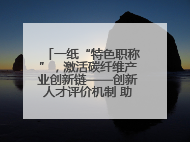 一纸“特色职称”，激活碳纤维产业创新链——创新人才评价机制 助推产业升级