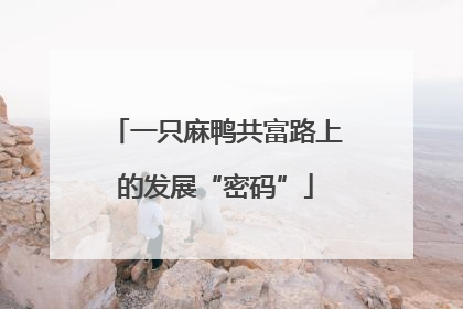 一只麻鸭共富路上的发展“密码”