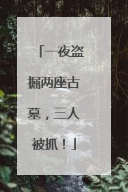 一夜盗掘两座古墓，三人被抓！