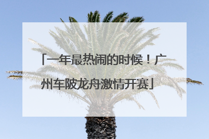 一年最热闹的时候！广州车陂龙舟激情开赛
