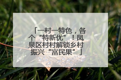 一村一特色，各个“特新优”！凤泉区村村解锁乡村振兴“富民果”