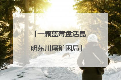 一颗蓝莓盘活昆明东川尾矿困局