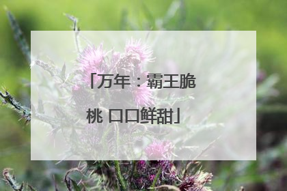 万年：霸王脆桃 口口鲜甜