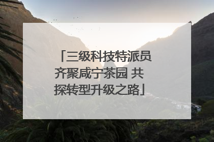 三级科技特派员齐聚咸宁茶园 共探转型升级之路