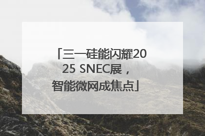 三一硅能闪耀2025 SNEC展，智能微网成焦点