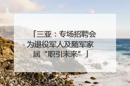 三亚：专场招聘会为退役军人及随军家属“职引未来”