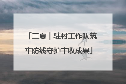 三夏｜驻村工作队筑牢防线守护丰收成果